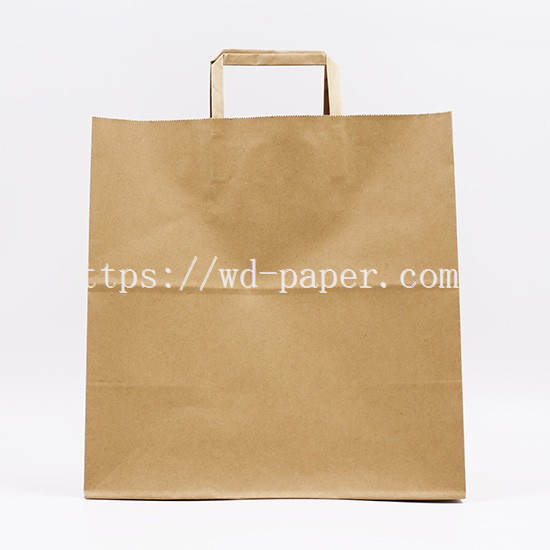 2-kraft shopping bags with handles